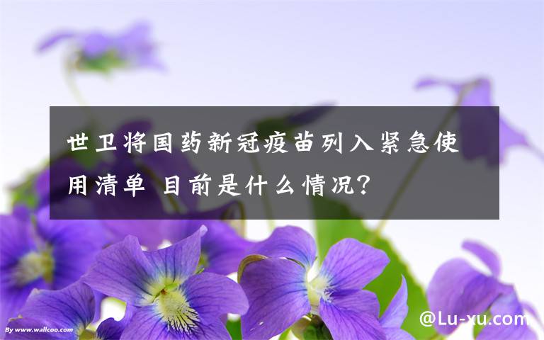 世卫将国药新冠疫苗列入紧急使用清单 目前是什么情况？