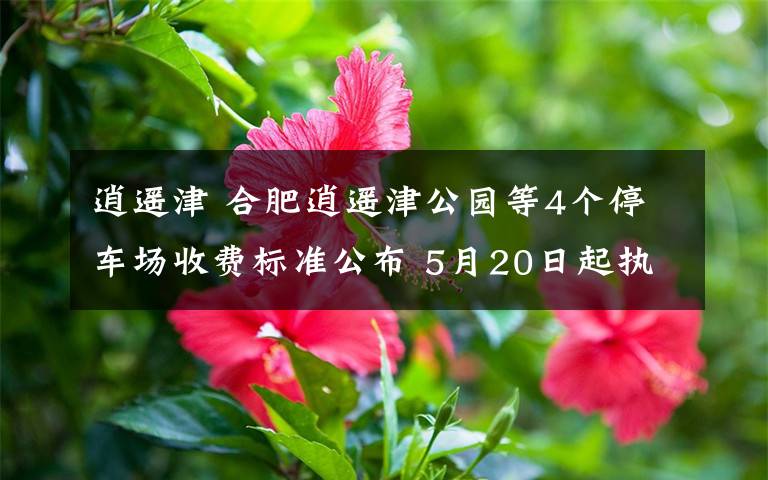 逍遥津 合肥逍遥津公园等4个停车场收费标准公布 5月20日起执行