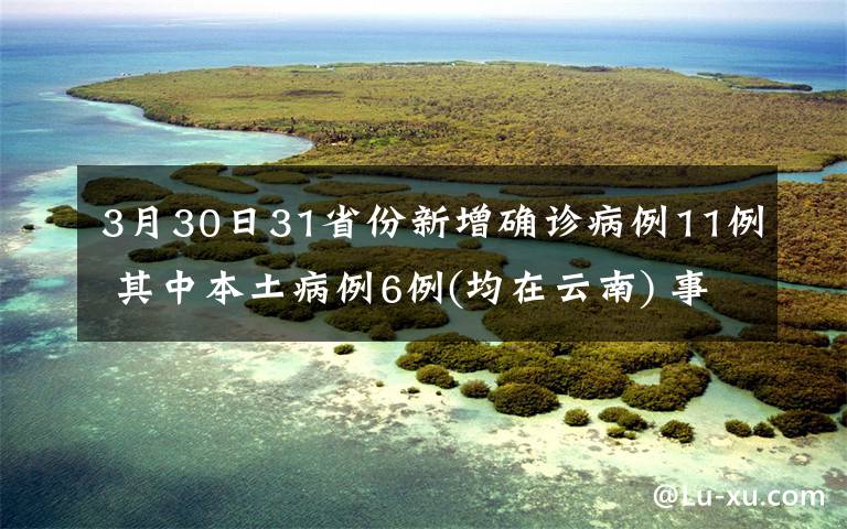 3月30日31省份新增确诊病例11例 其中本土病例6例(均在云南) 事件详细经过！