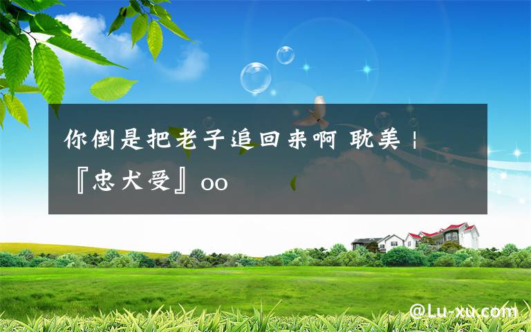 你倒是把老子追回来啊 耽美 | 『忠犬受』oo
