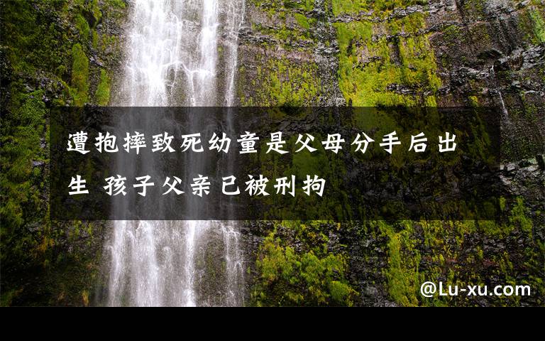 遭抱摔致死幼童是父母分手后出生 孩子父亲已被刑拘