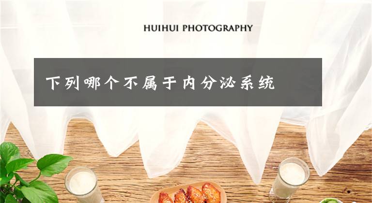 下列哪个不属于内分泌系统