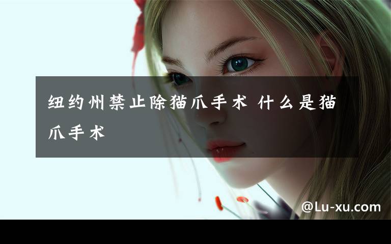 纽约州禁止除猫爪手术 什么是猫爪手术