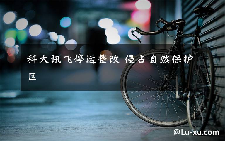 科大讯飞停运整改 侵占自然保护区