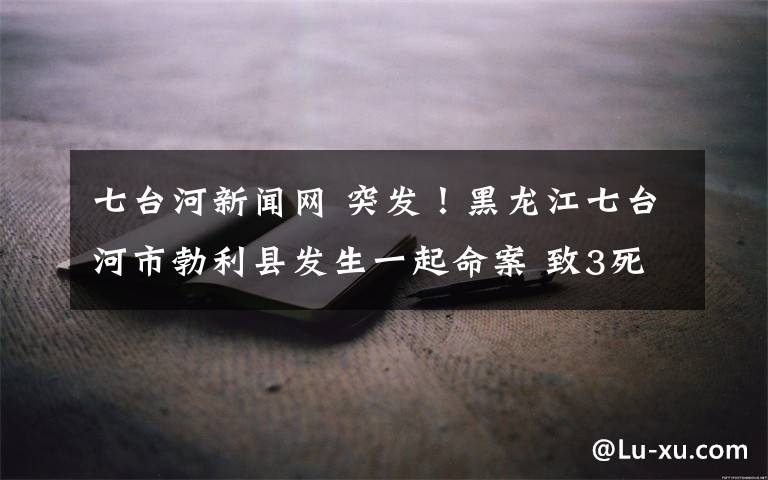 七台河新闻网 突发！黑龙江七台河市勃利县发生一起命案 致3死2伤