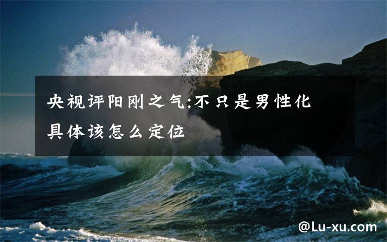 央视评阳刚之气:不只是男性化 具体该怎么定位