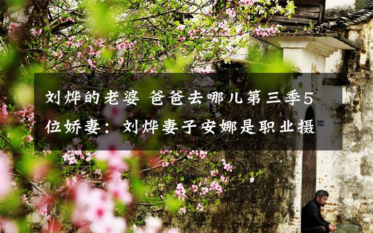 刘烨的老婆 爸爸去哪儿第三季5位娇妻：刘烨妻子安娜是职业摄影师