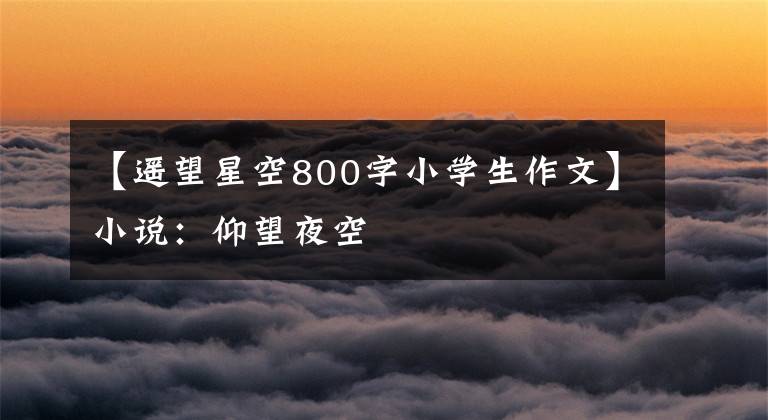 【遥望星空800字小学生作文】小说：仰望夜空