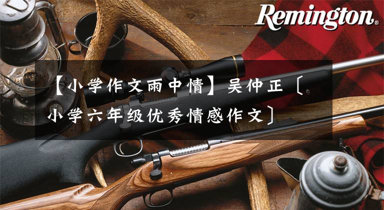 【小学作文雨中情】吴仲正〔小学六年级优秀情感作文〕