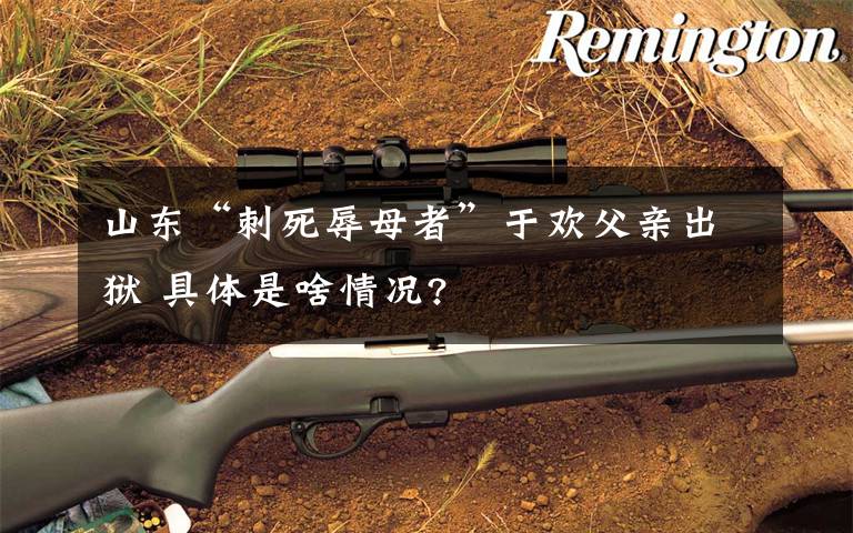 山东“刺死辱母者”于欢父亲出狱 具体是啥情况?