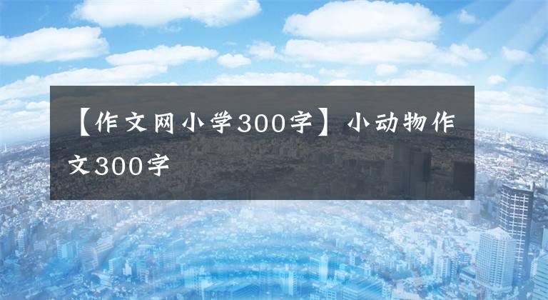 【作文网小学300字】小动物作文300字