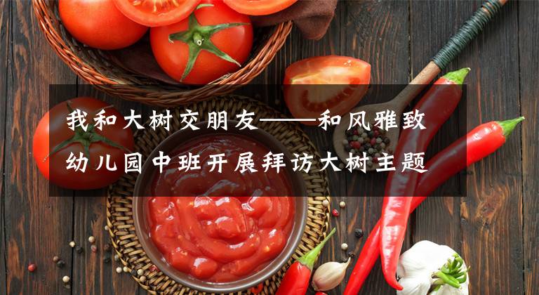 我和大树交朋友——和风雅致幼儿园中班开展拜访大树主题活动