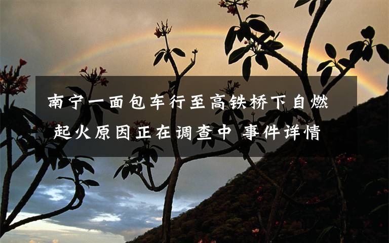 南宁一面包车行至高铁桥下自燃 起火原因正在调查中 事件详情始末介绍！