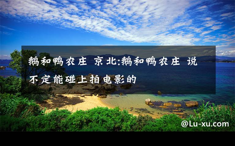 鹅和鸭农庄 京北:鹅和鸭农庄 说不定能碰上拍电影的