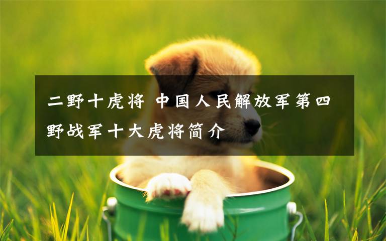 二野十虎将 中国人民解放军第四野战军十大虎将简介