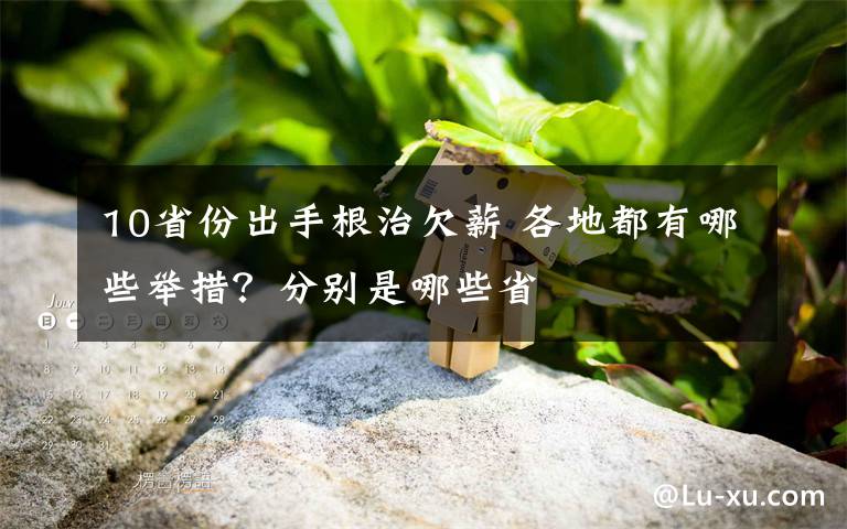10省份出手根治欠薪 各地都有哪些举措？分别是哪些省