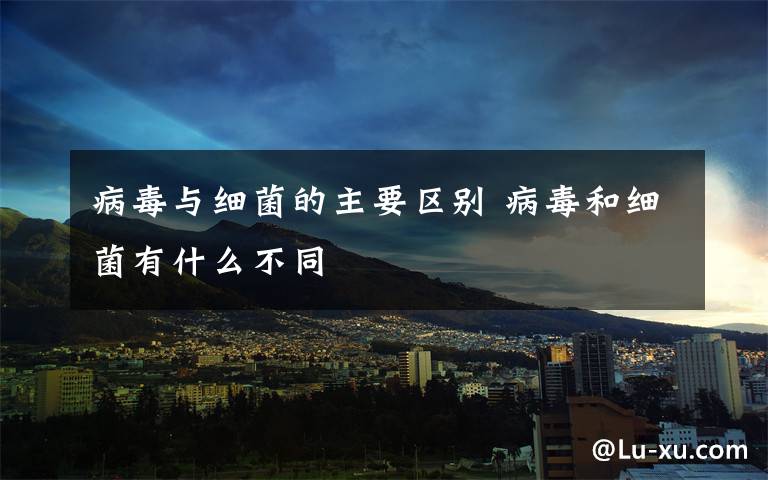 病毒与细菌的主要区别 病毒和细菌有什么不同