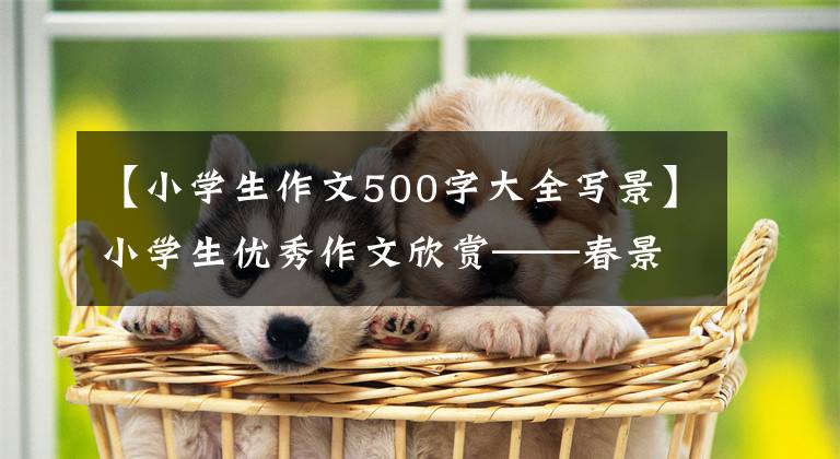 【小学生作文500字大全写景】小学生优秀作文欣赏——春景作文500字，精选范文5篇。