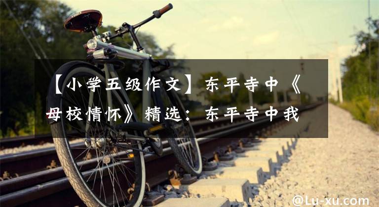 【小学五级作文】东平寺中《母校情怀》精选：东平寺中我成长的玉土话/书影