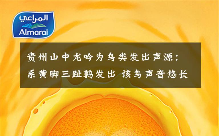 贵州山中龙吟为鸟类发出声源：系黄脚三趾鹑发出 该鸟声音悠长沉闷