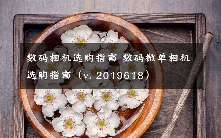 数码相机选购指南 数码微单相机选购指南（v. 2019618）