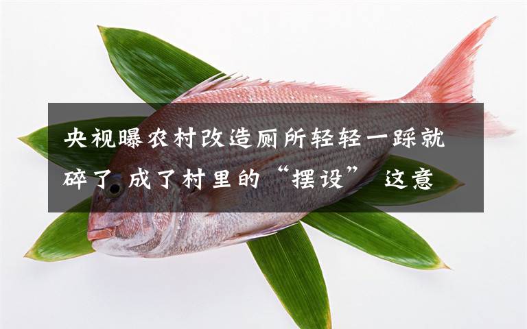 央视曝农村改造厕所轻轻一踩就碎了 成了村里的“摆设” 这意味着什么?