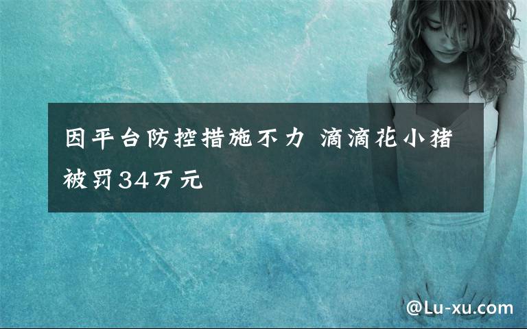 因平台防控措施不力 滴滴花小猪被罚34万元