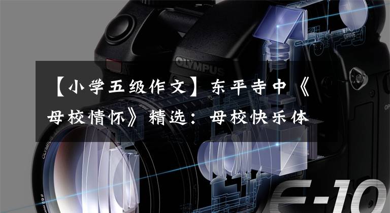 【小学五级作文】东平寺中《母校情怀》精选：母校快乐体育门/周景林