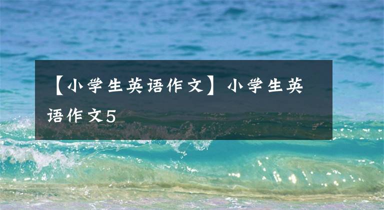 【小学生英语作文】小学生英语作文5