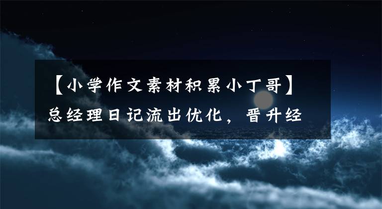 【小学作文素材积累小丁哥】总经理日记流出优化，晋升经历了考验