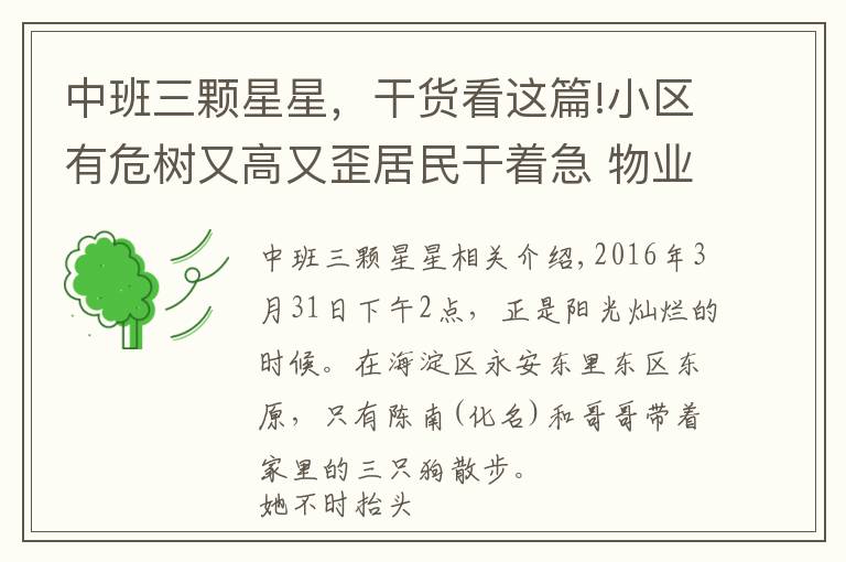 中班三颗星星，干货看这篇!小区有危树又高又歪居民干着急 物业街道推责任干着急