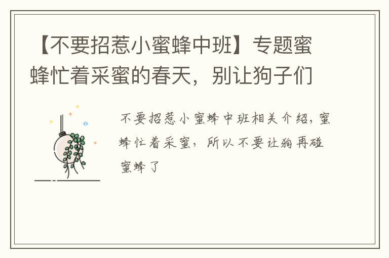 【不要招惹小蜜蜂中班】专题蜜蜂忙着采蜜的春天，别让狗子们再招惹小蜜蜂了