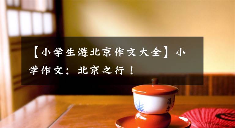 【小学生游北京作文大全】小学作文：北京之行！