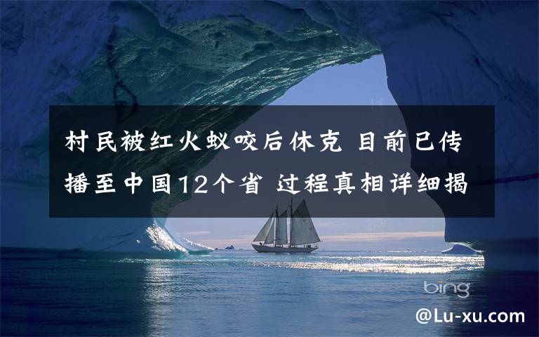 村民被红火蚁咬后休克 目前已传播至中国12个省 过程真相详细揭秘！