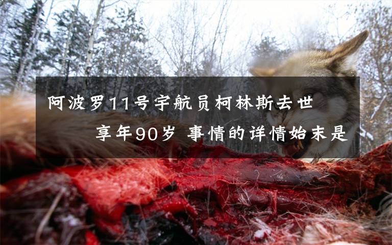 阿波罗11号宇航员柯林斯去世    享年90岁 事情的详情始末是怎么样了！