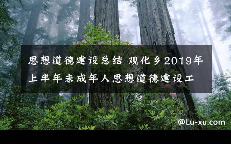 思想道德建设总结 观化乡2019年上半年未成年人思想道德建设工作总结