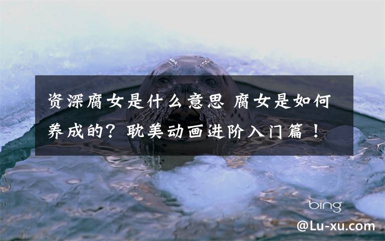 资深腐女是什么意思 腐女是如何养成的？耽美动画进阶入门篇！
