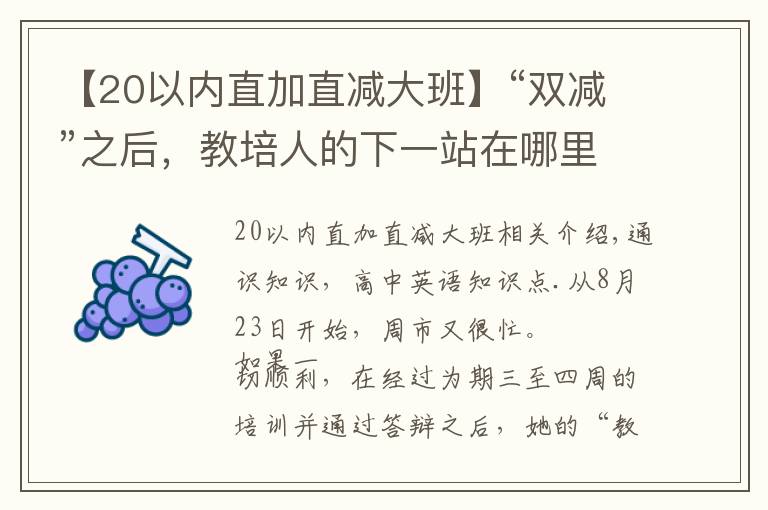 【20以内直加直减大班】“双减”之后，教培人的下一站在哪里？