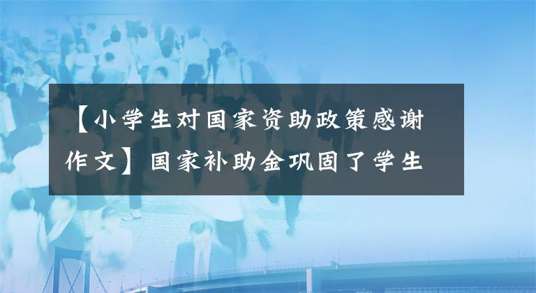 【小学生对国家资助政策感谢作文】国家补助金巩固了学生的增长信心