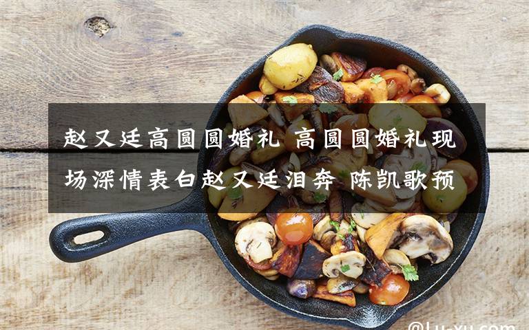 赵又廷高圆圆婚礼 高圆圆婚礼现场深情表白赵又廷泪奔 陈凯歌预言成真