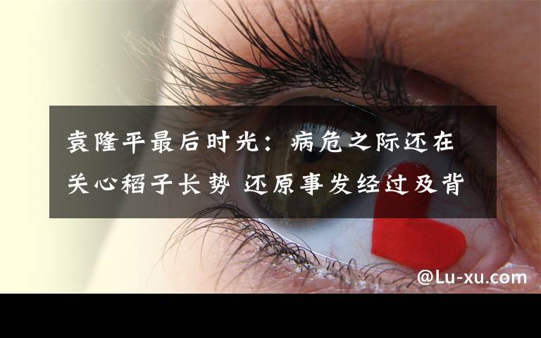 袁隆平最后时光：病危之际还在关心稻子长势 还原事发经过及背后真相！