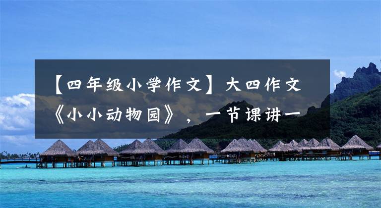 【四年级小学作文】大四作文《小小动物园》，一节课讲一节课，看孩子们怎么写。