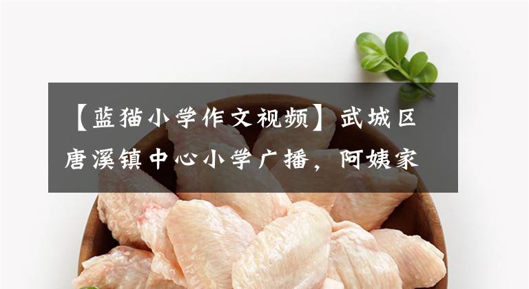 【蓝猫小学作文视频】武城区唐溪镇中心小学广播，阿姨家的猫