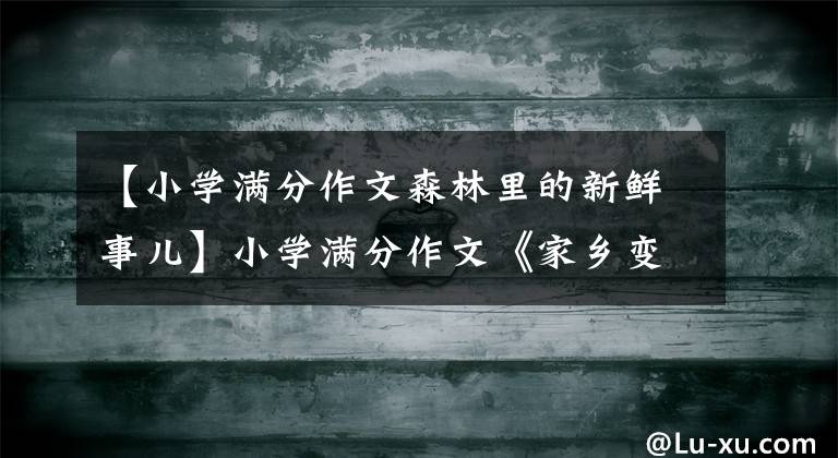 【小学满分作文森林里的新鲜事儿】小学满分作文《家乡变了》