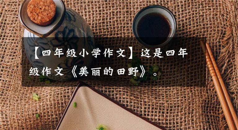 【四年级小学作文】这是四年级作文《美丽的田野》。