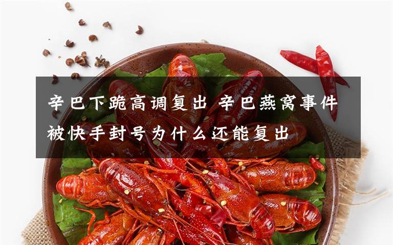 辛巴下跪高调复出 辛巴燕窝事件被快手封号为什么还能复出