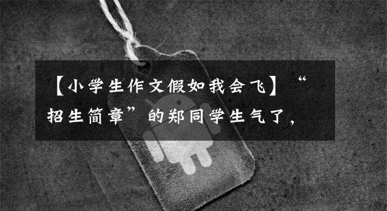 【小学生作文假如我会飞】“招生简章”的郑同学生气了，那些农学生呢？