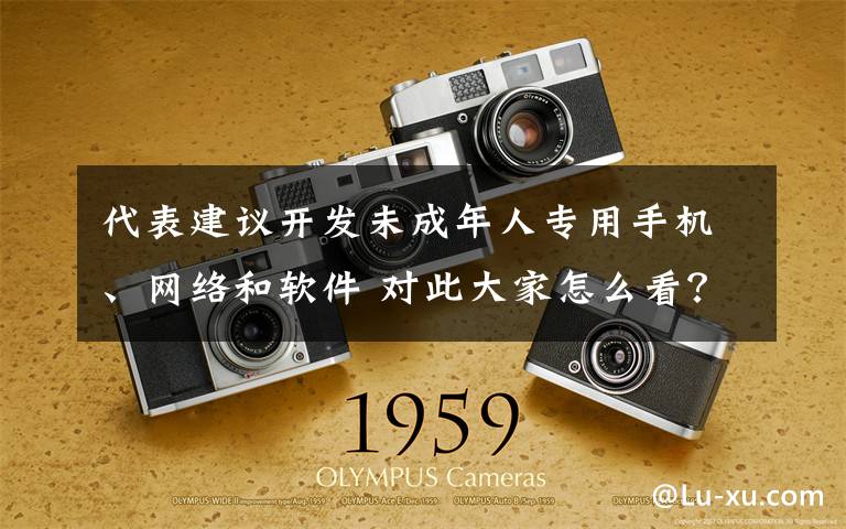 代表建议开发未成年人专用手机、网络和软件 对此大家怎么看？