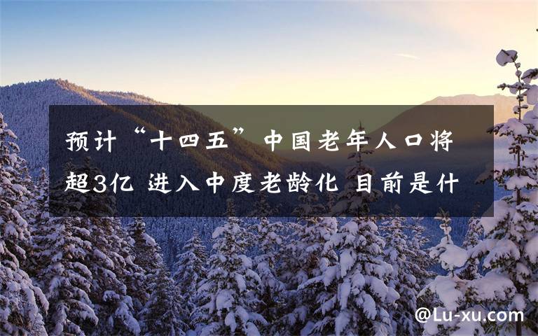 预计“十四五”中国老年人口将超3亿 进入中度老龄化 目前是什么情况？