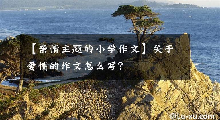 【亲情主题的小学作文】关于爱情的作文怎么写？